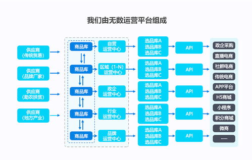 供应链中台系统开发 私有化部署 电商平台供应链解决方案