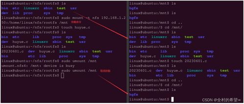 arm 系统移植 开发环境搭建