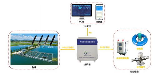 集装箱水产养殖监测系统 及时监测水质变化 助力有效避免养殖损失